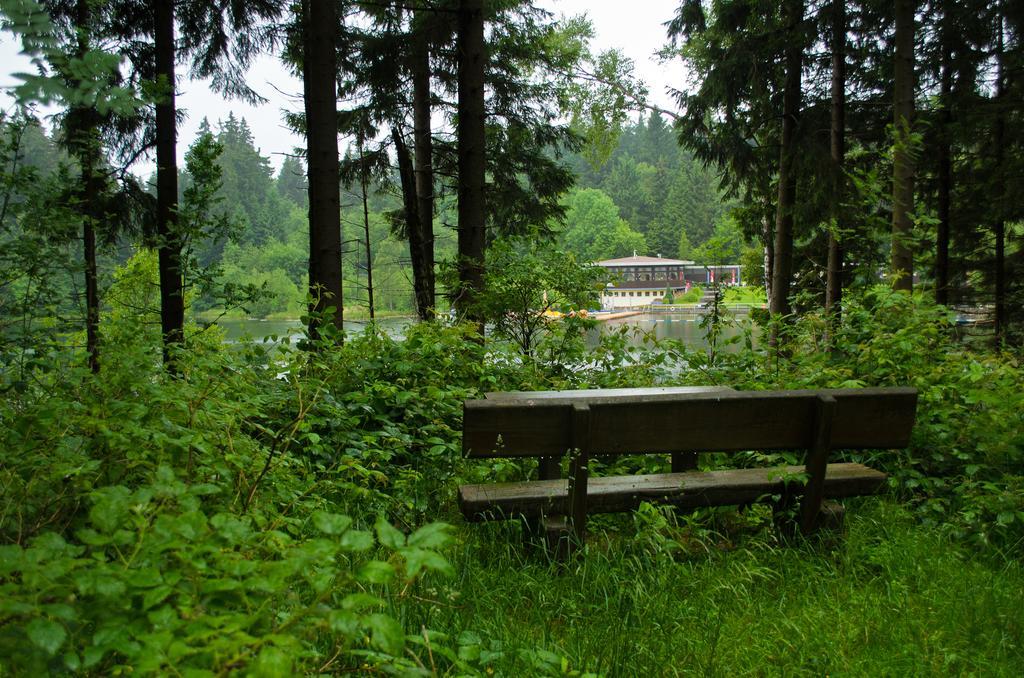 Hotel Waldrausch Goslar Eksteriør bilde