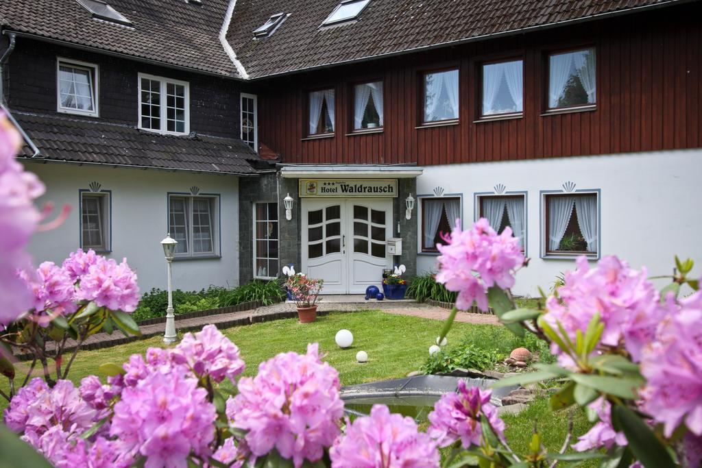 Hotel Waldrausch Goslar Eksteriør bilde